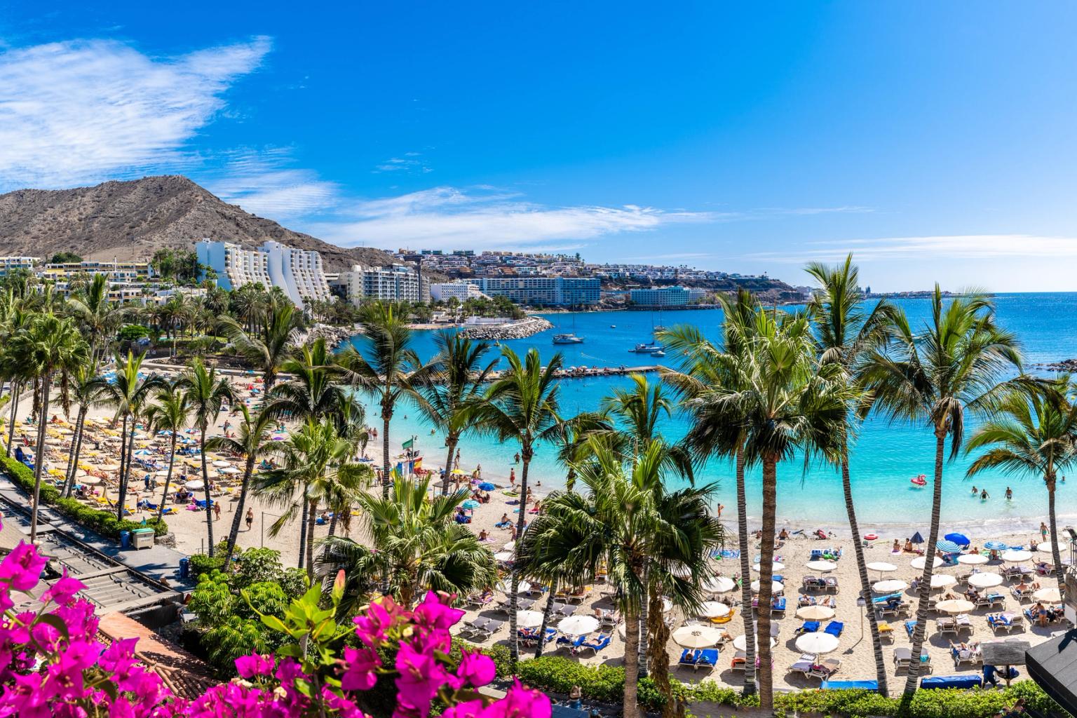en tropisk strand på Gran Canaria med palmträd och en stad i bakgrunden