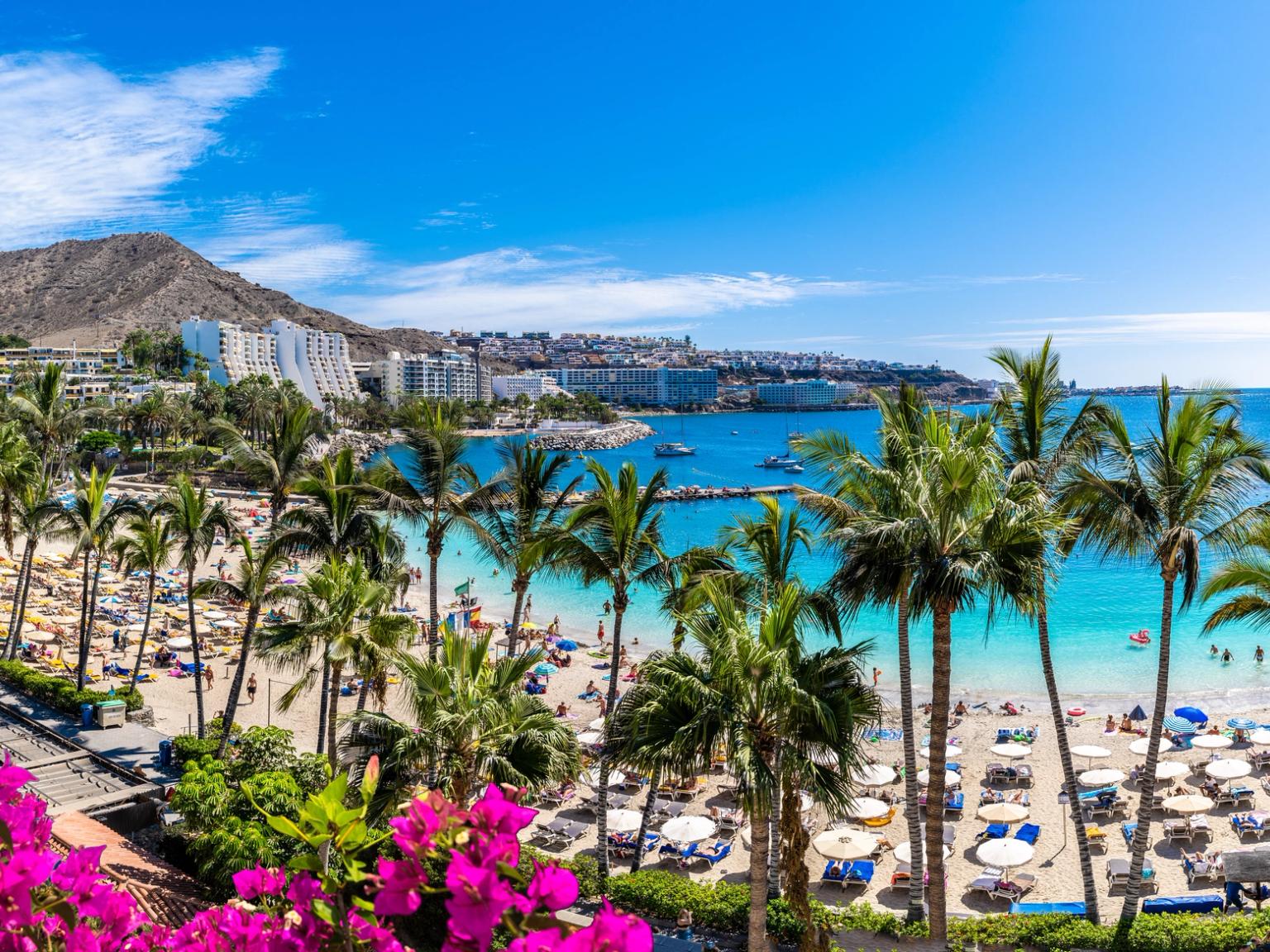 en tropisk strand på Gran Canaria med palmträd och en stad i bakgrunden