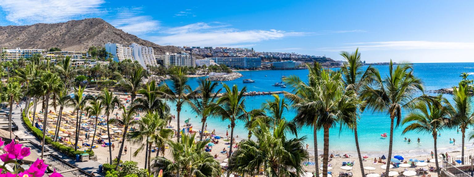 en tropisk strand på Gran Canaria med palmträd och en stad i bakgrunden