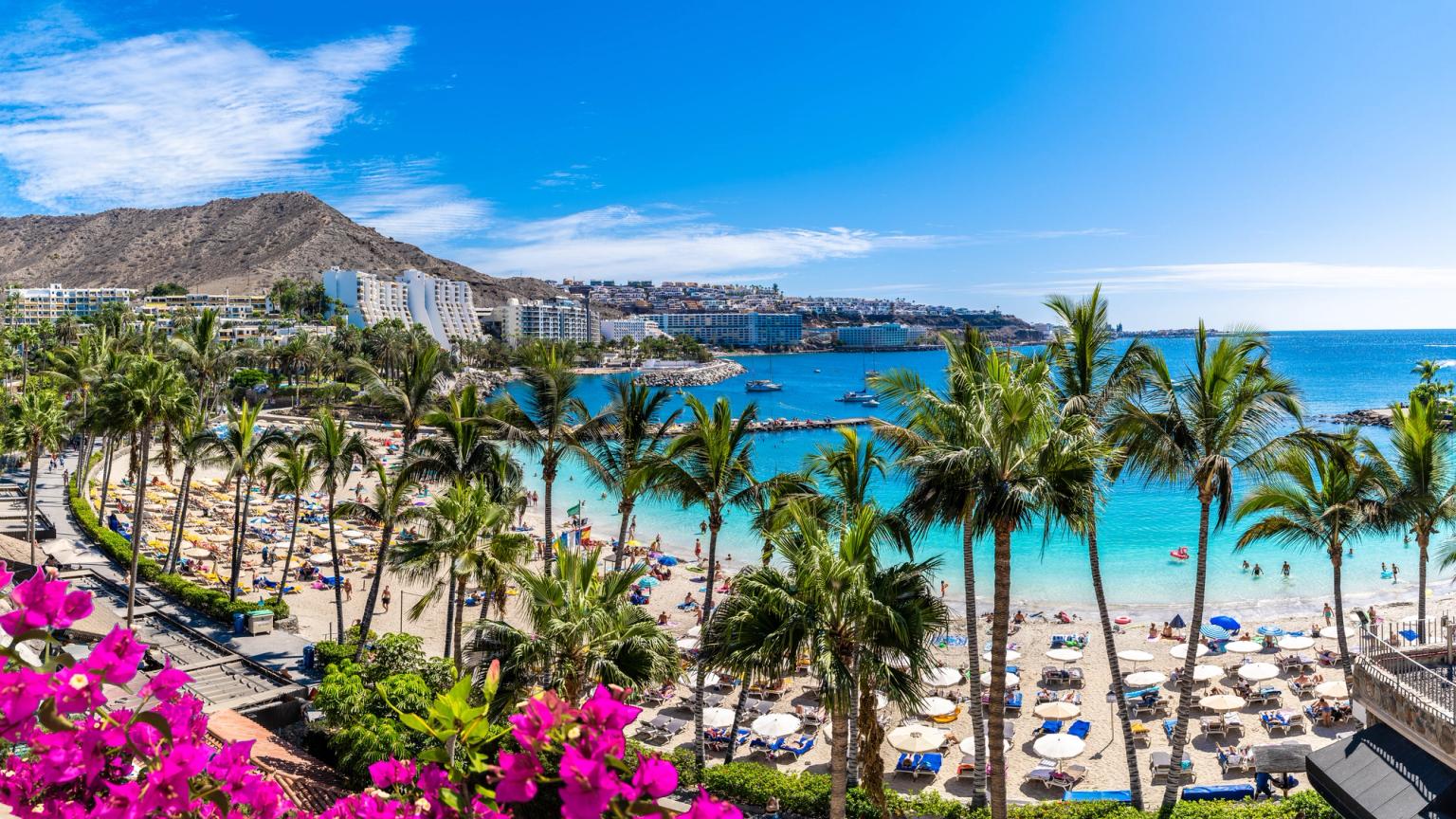 en tropisk strand Gran Canaria med palmer og blomster i forgrunnen
