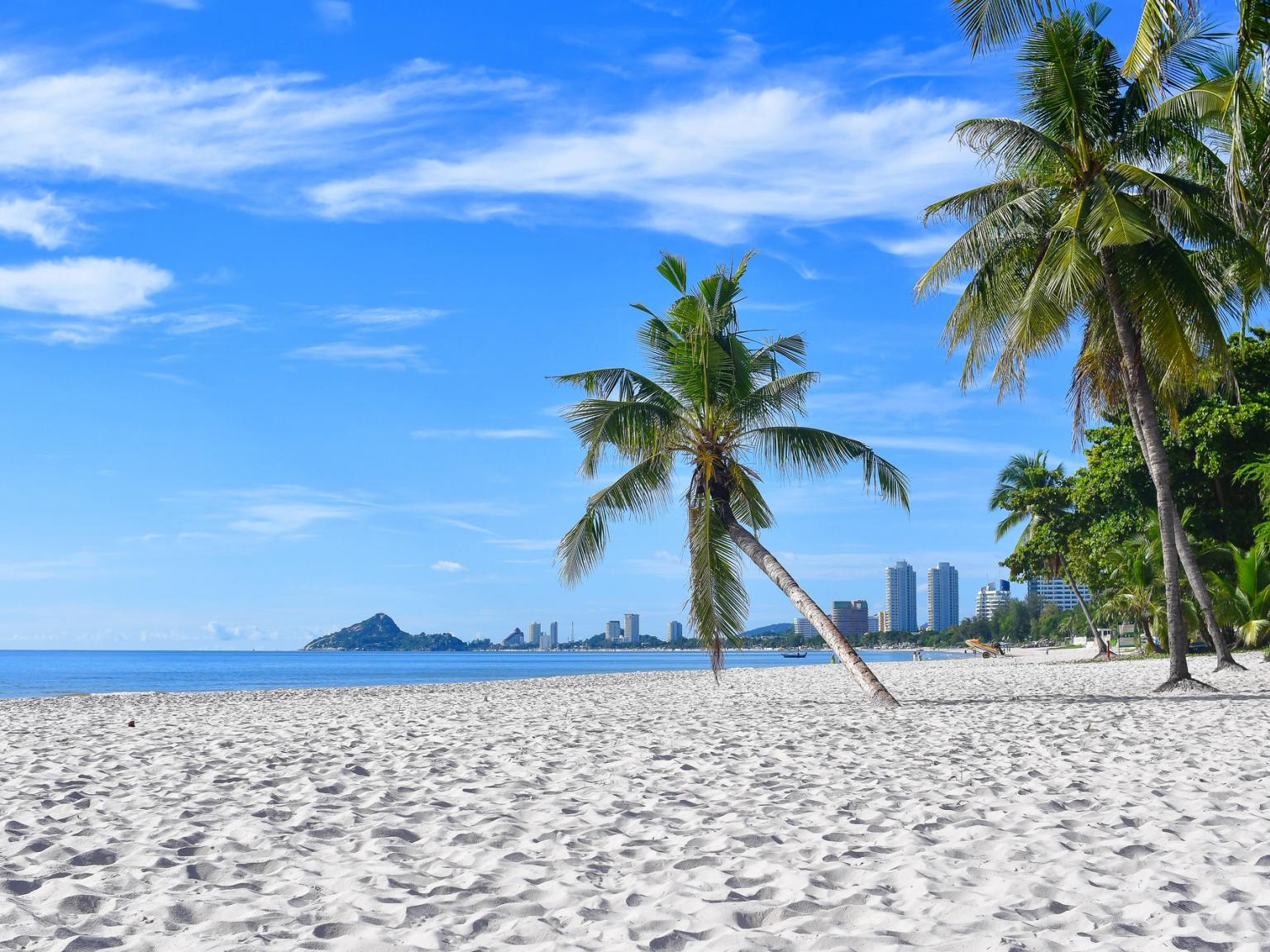 en tropisk strand med palmträd och en stad i bakgrunden