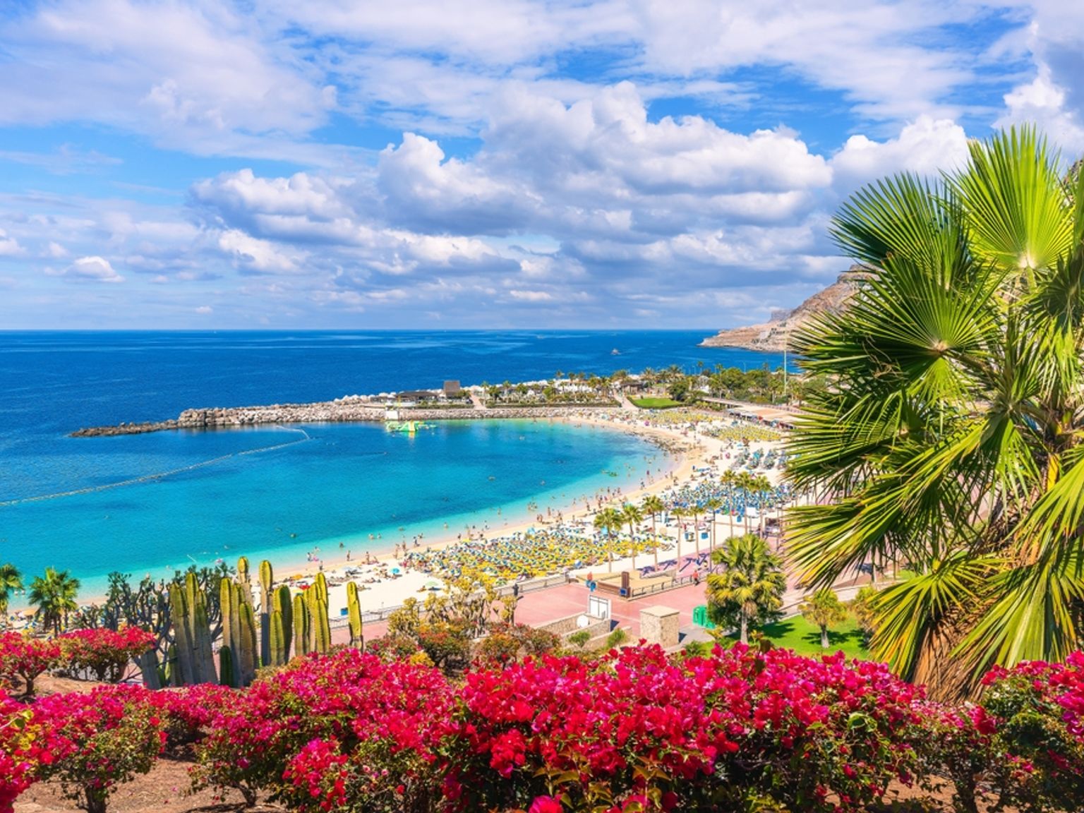 Tropisk strand med turkost vatten, solbadare och ljusrosa bougainvillea samt en palm i förgrunden.