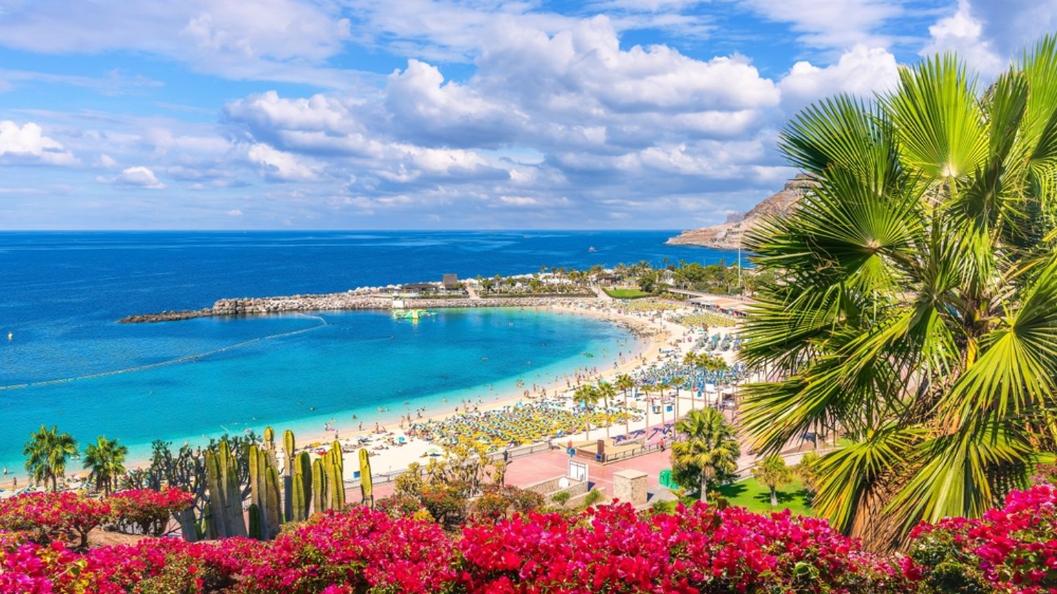 Tropisk strand med turkisblåt vand, solbadere og lyserød bougainvillea samt en palme i forgrunden.