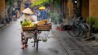 Una persona con un sombrero cónico empuja una bicicleta cargada de fruta por una calle mojada. Hanói, Vietnam