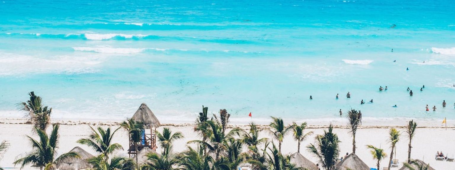 en flygvy över en tropisk strand med palmer och människor som simmar i havet