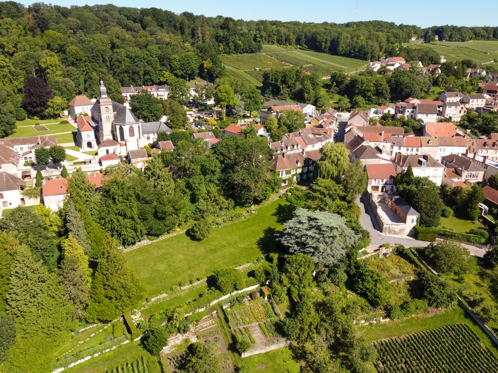 Vista aérea de un pintoresco pueblo con un campanario de iglesia prominente, rodeado de frondosos árboles verdes, campos y viñedos. Región de Champaña, Francia