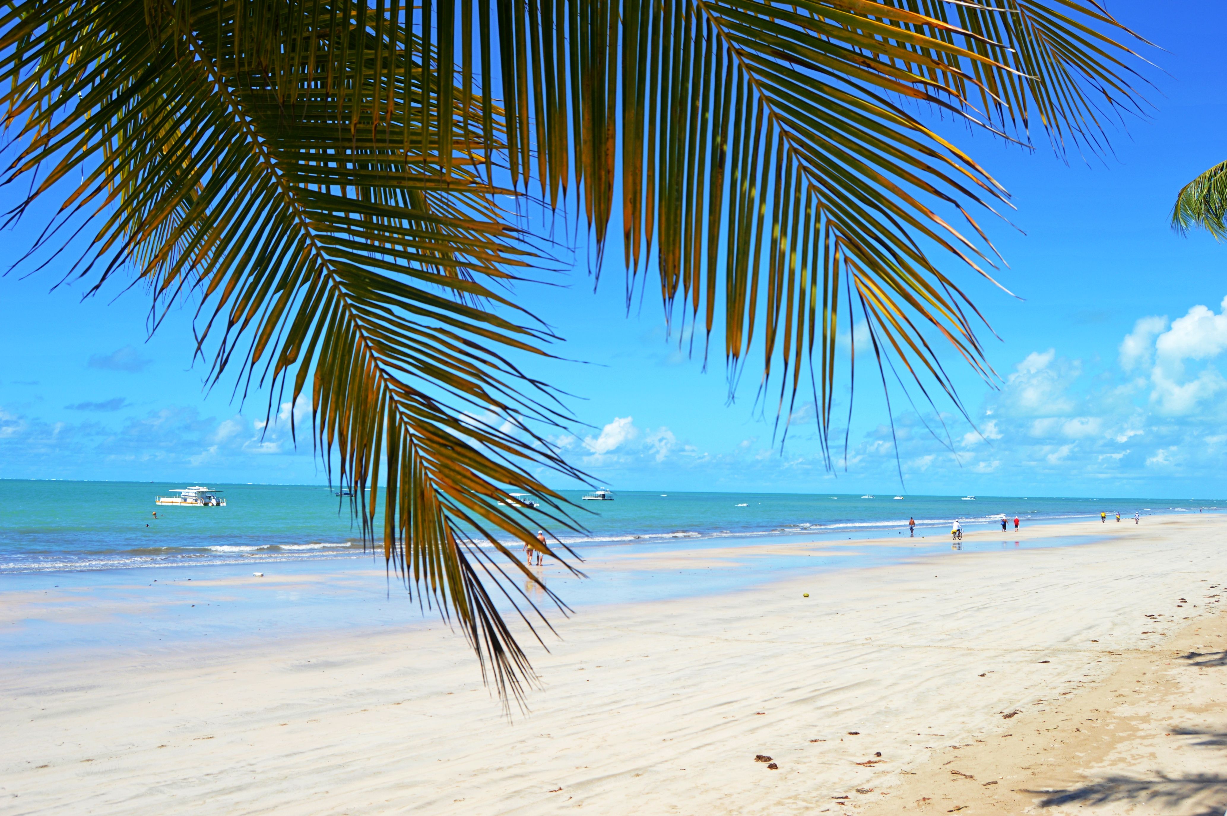 Livlig strandscen inramad av palmblad, med vit sand, turkost vatten, blå himmel och avlägsna människor och båtar.