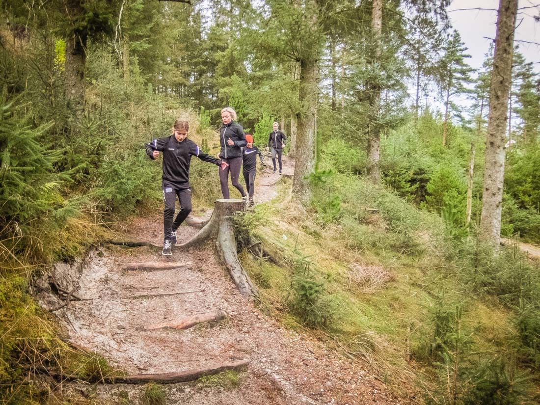 En grupp människor som vandrar på en stig av jord med trappsteg i en skog.