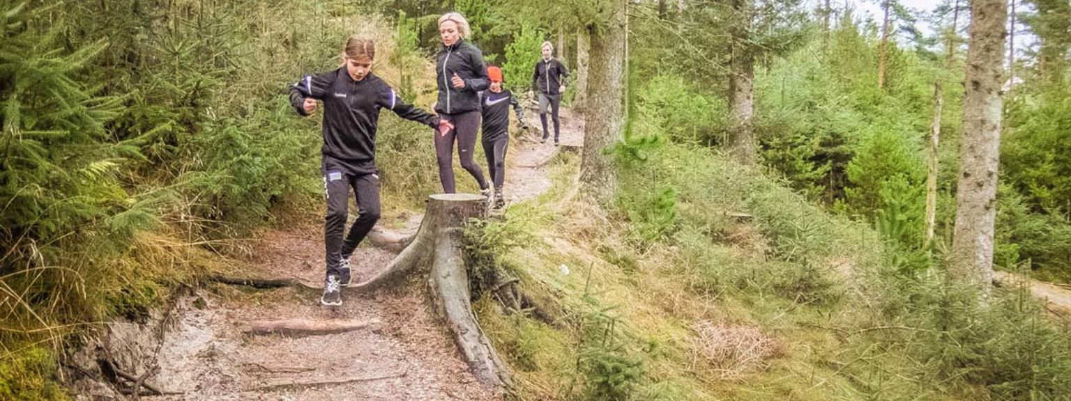 En grupp människor som vandrar på en stig av jord med trappsteg i en skog.