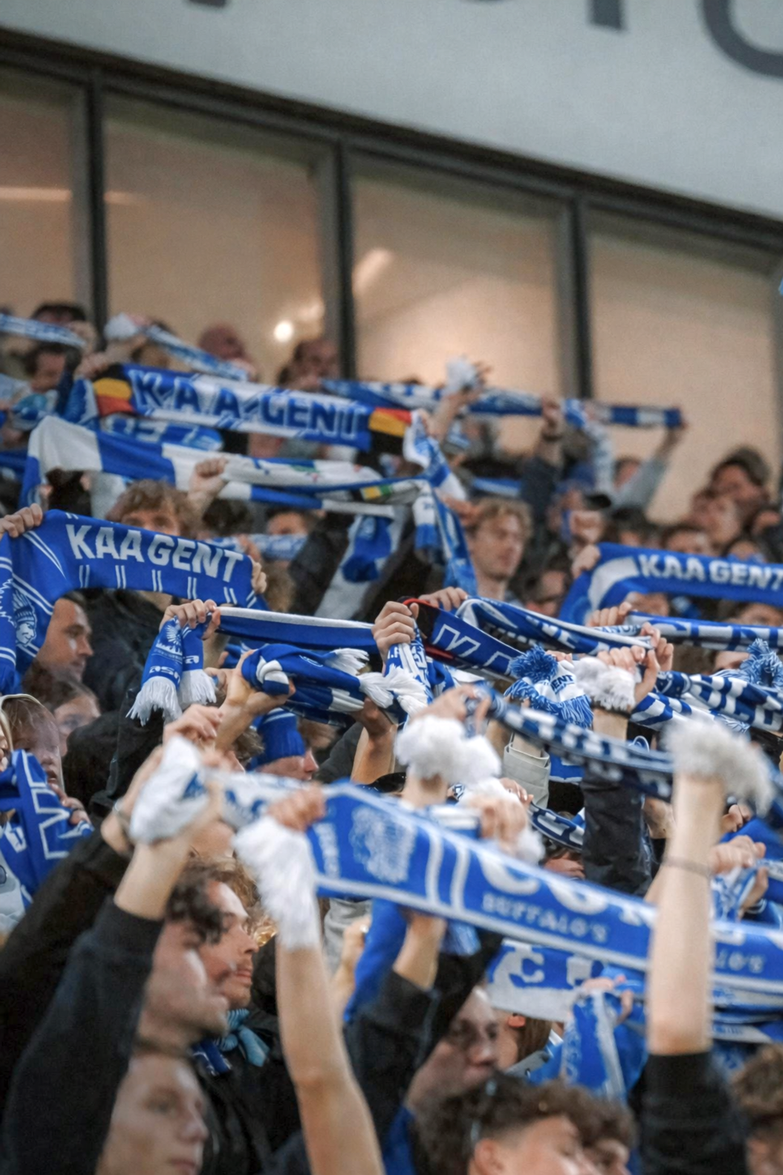 Eine große Menge von KAA-Gent-Fans, die blau-weiße Schals in die Höhe halten.