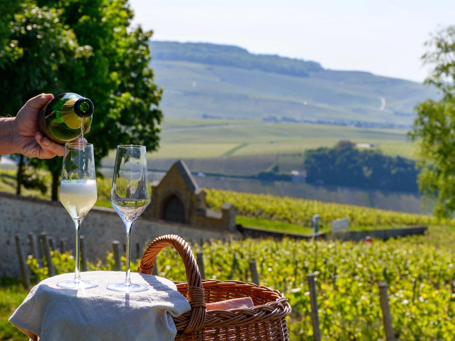 una persona está vertiendo vino en una copa en un viñedo