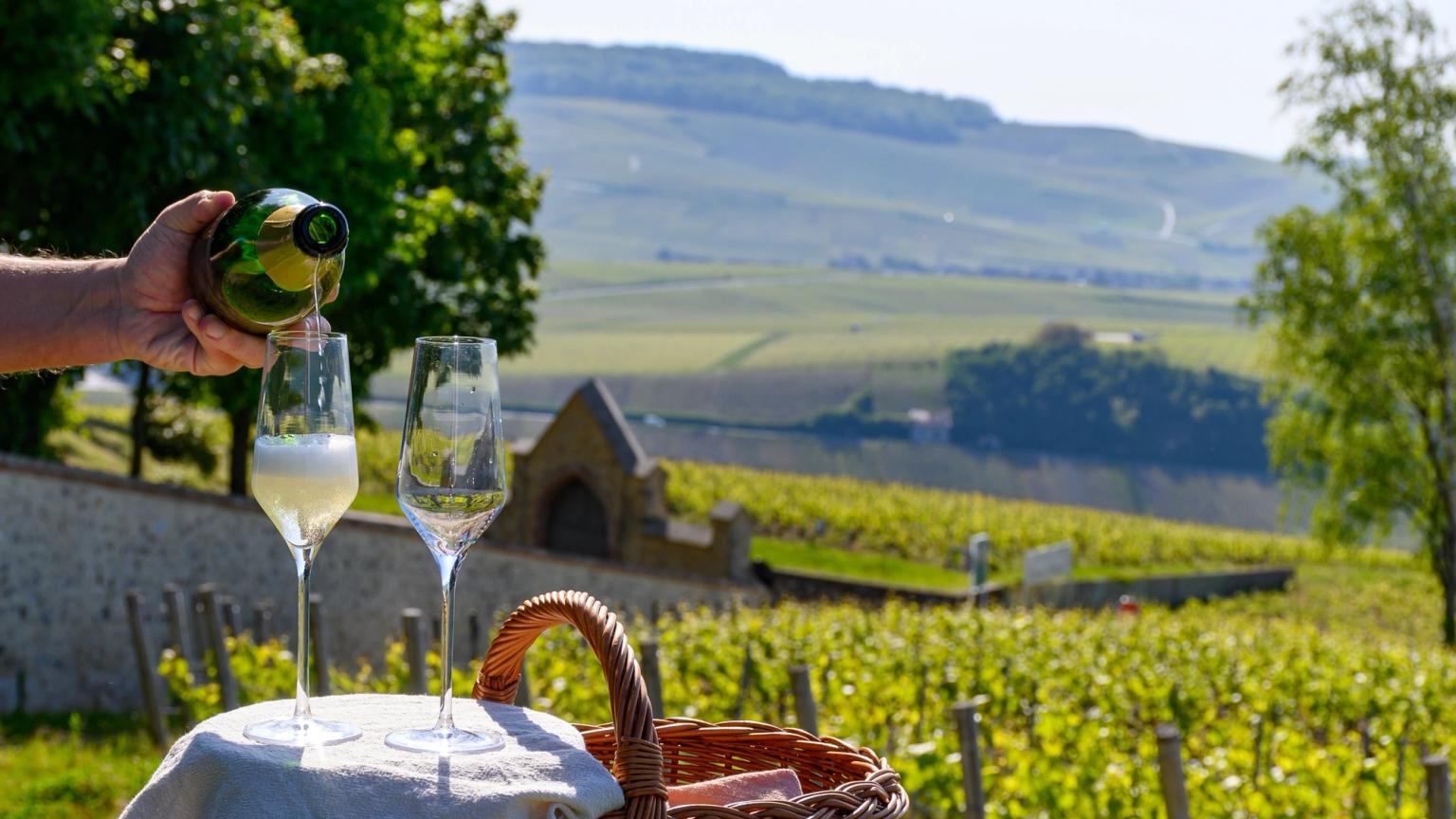 en person häller vin i ett glas i en vingård