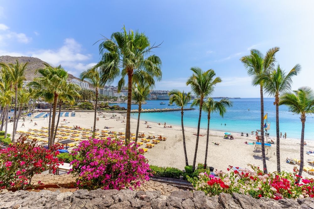 Solig strand med vit sand, palmer, turkos ocean och livliga rosa blommor i förgrunden.