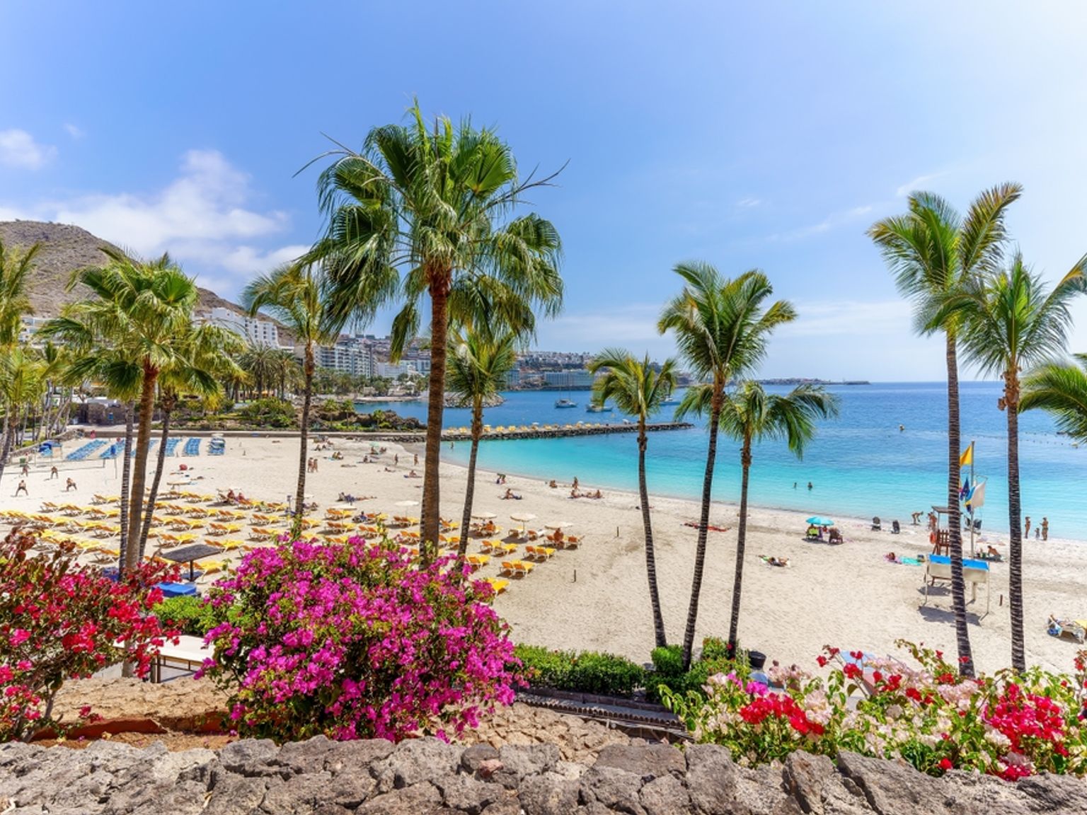 Solig strand med vit sand, palmer, turkos ocean och livliga rosa blommor i förgrunden.