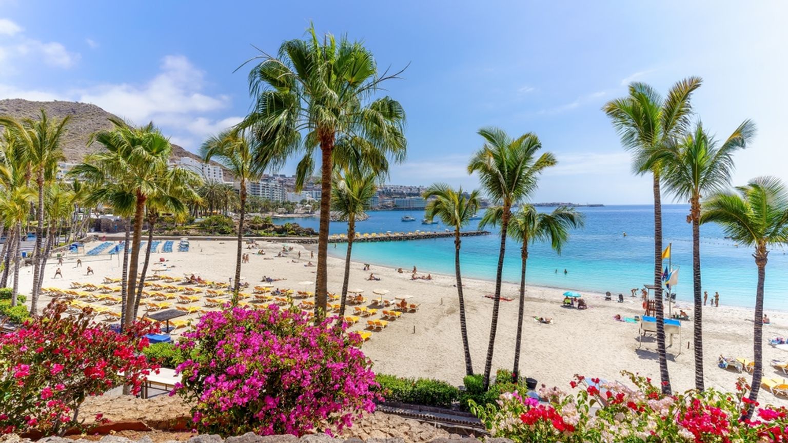 Solig strand med vit sand, palmer, turkos ocean och livliga rosa blommor i förgrunden.