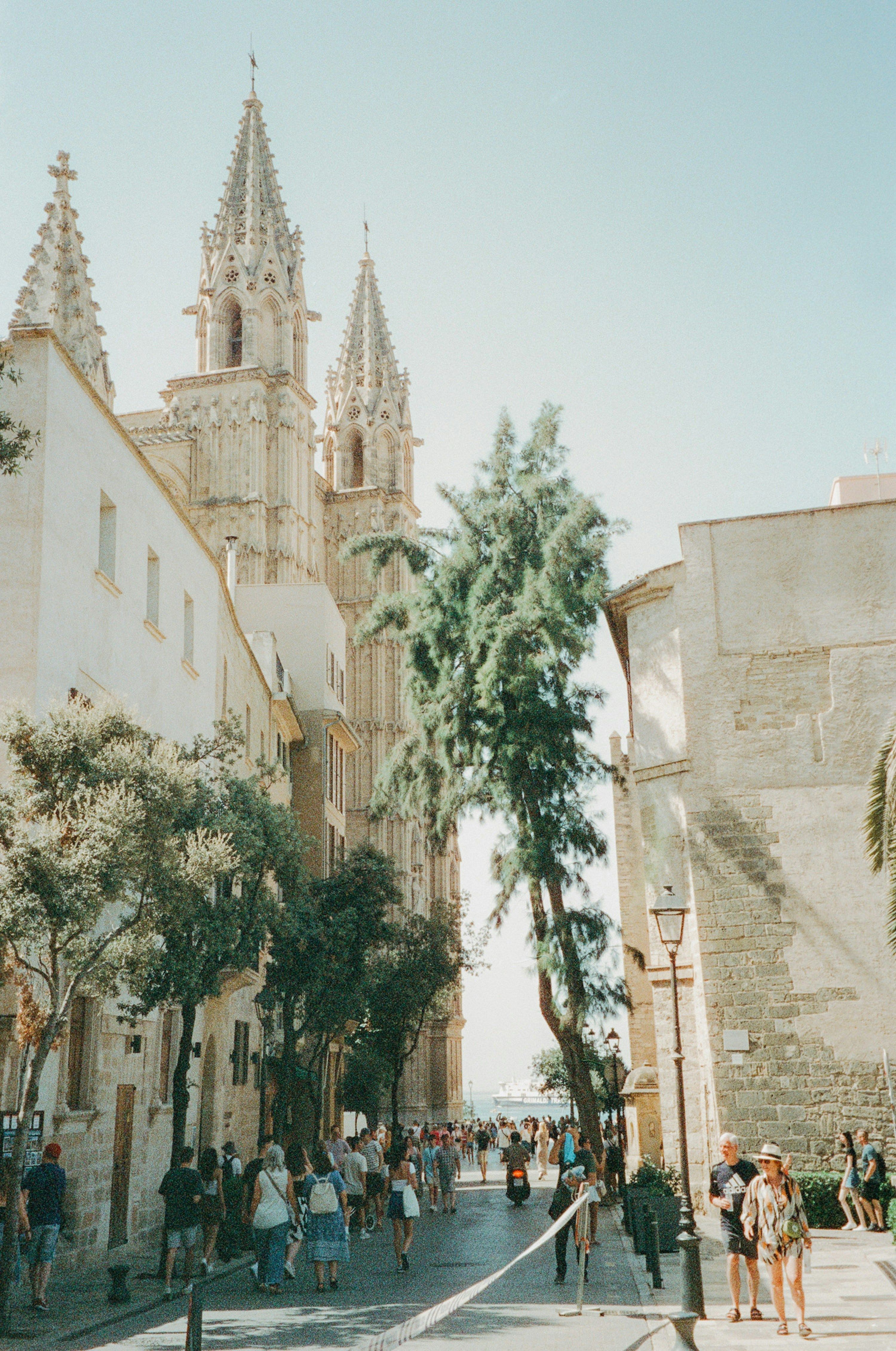 Una calle soleada con una gran catedral gótica al fondo, bordeada de árboles y con muchas personas caminando. Palma de Mallorca, España