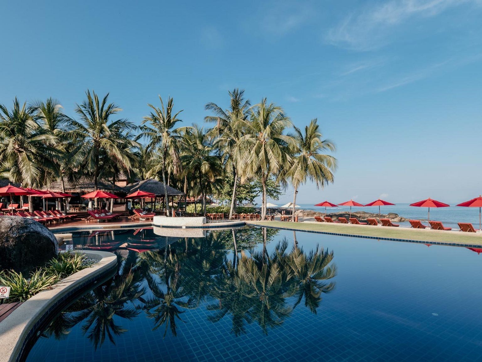 det er et stort svømmebasseng omgitt av palmer og stoler.