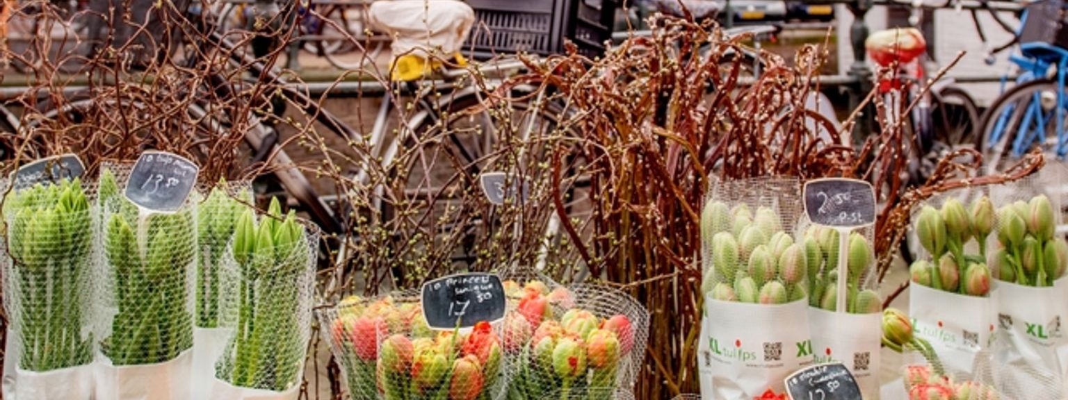 Ett färgstarkt blomsterstånd på en marknad i Amsterdam med olika buketter av tulpaner i förgrunden och kanalhus med cyklar i bakgrunden.