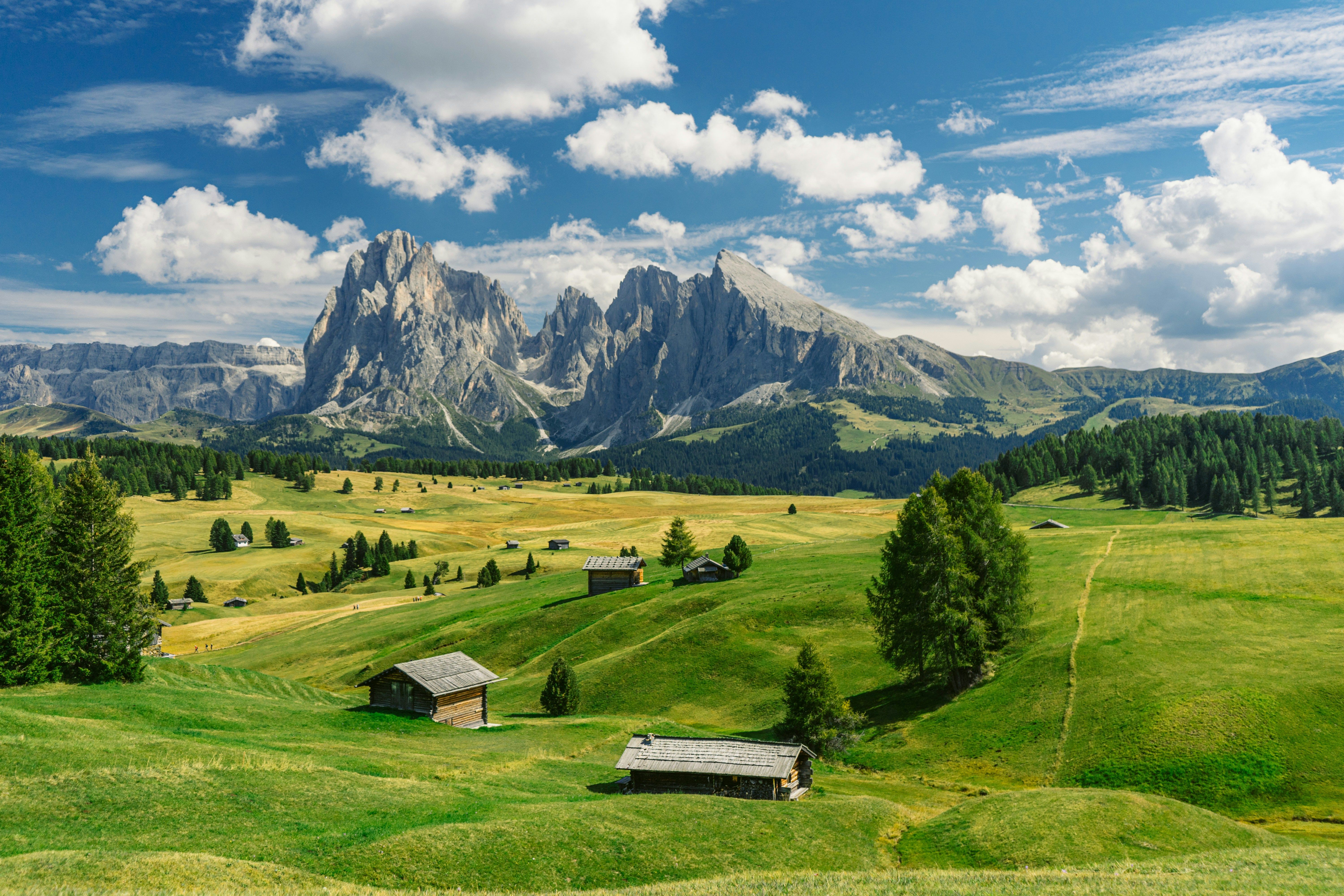 Alpelandskap med grønne enger, trehytter, furuskoger og steinete fjell under en blå, skyet himmel. Alpe di Siusi, Italia