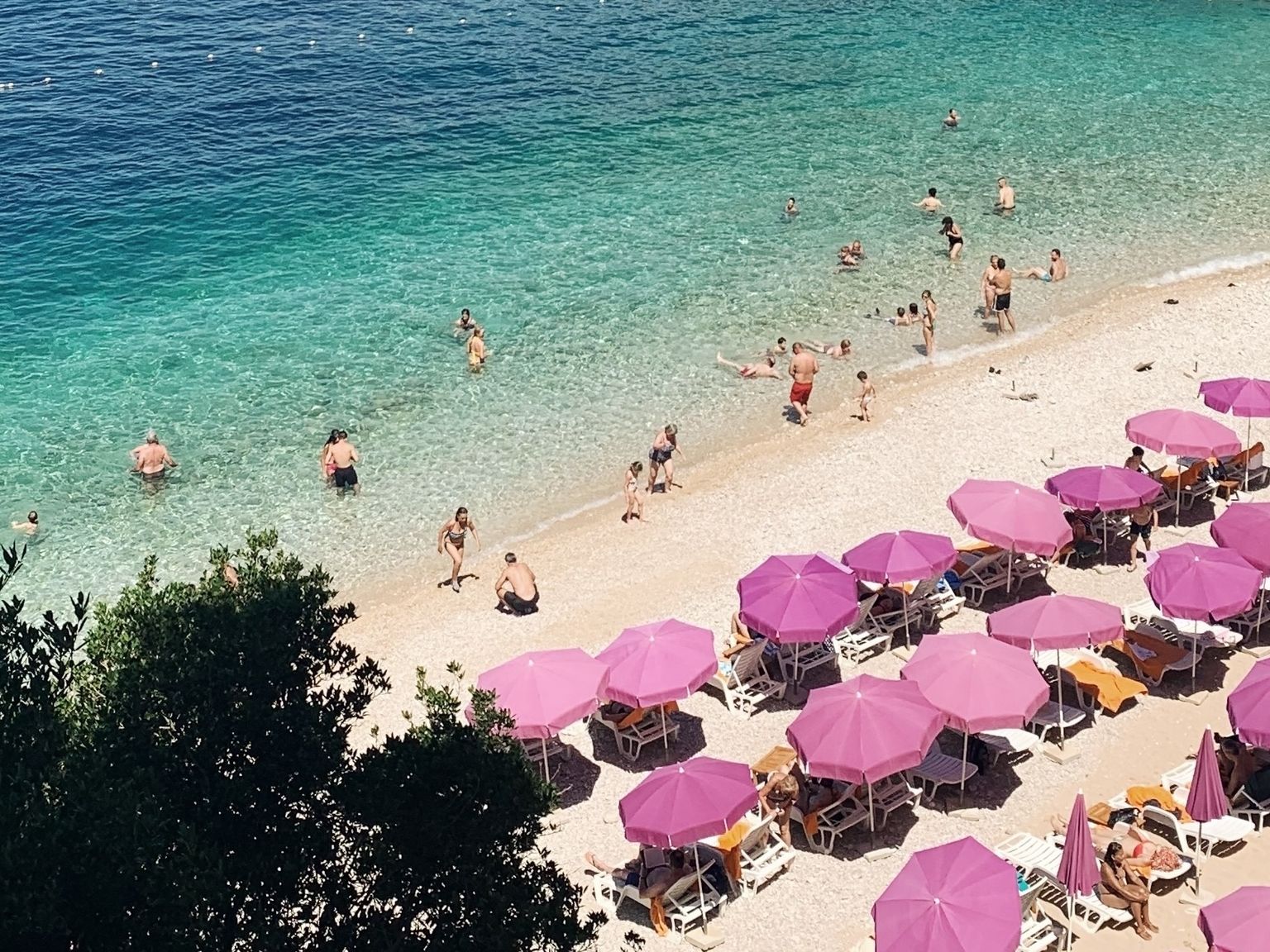 En fullpakket strand med klart turkis vann, mange rosa parasoller og folk som svømmer og soler seg.