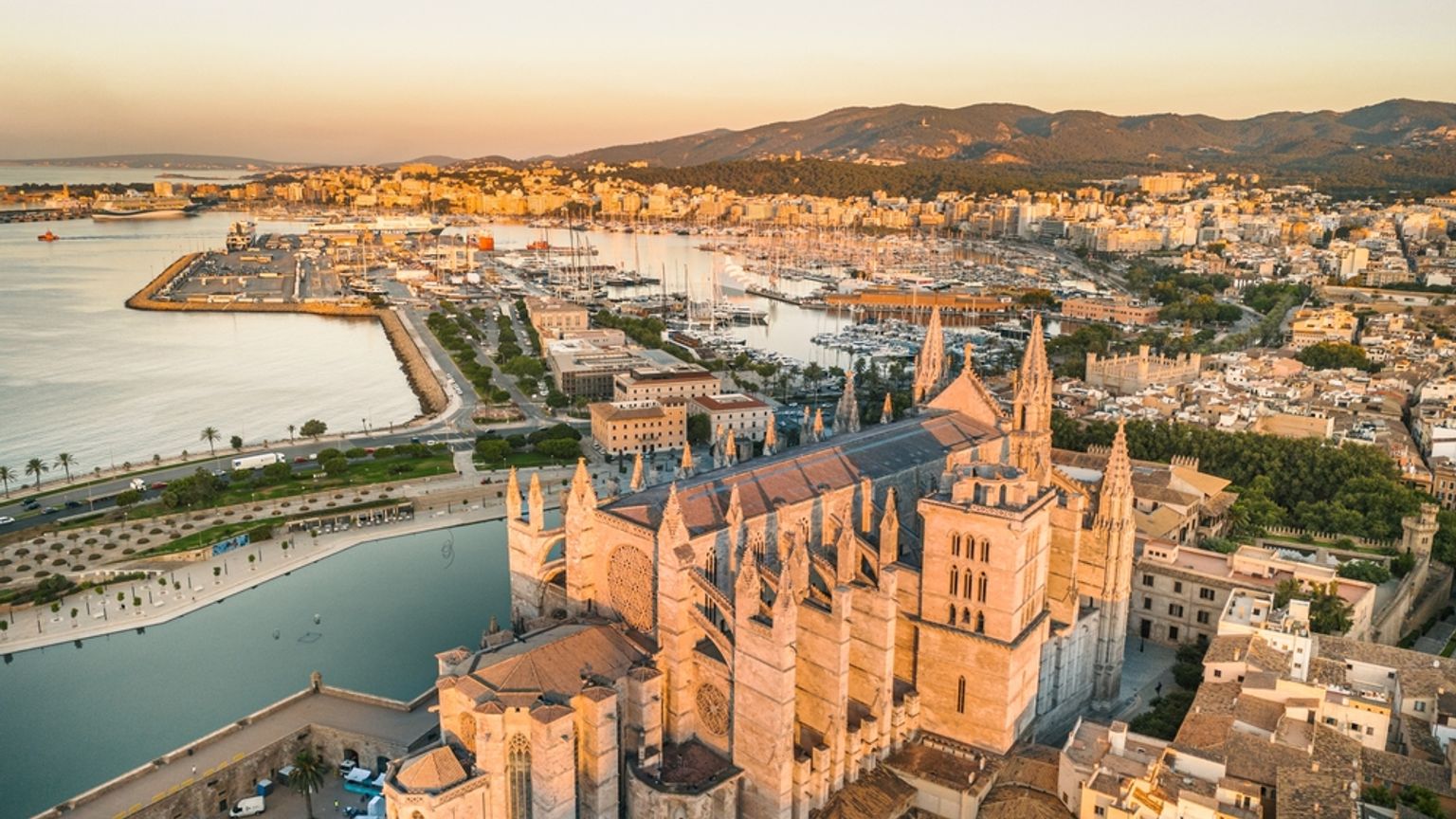 Aerial view of a grand gothic cathedral at golden hour, overlooking a city harbor. Palma de Mallorca, Spain