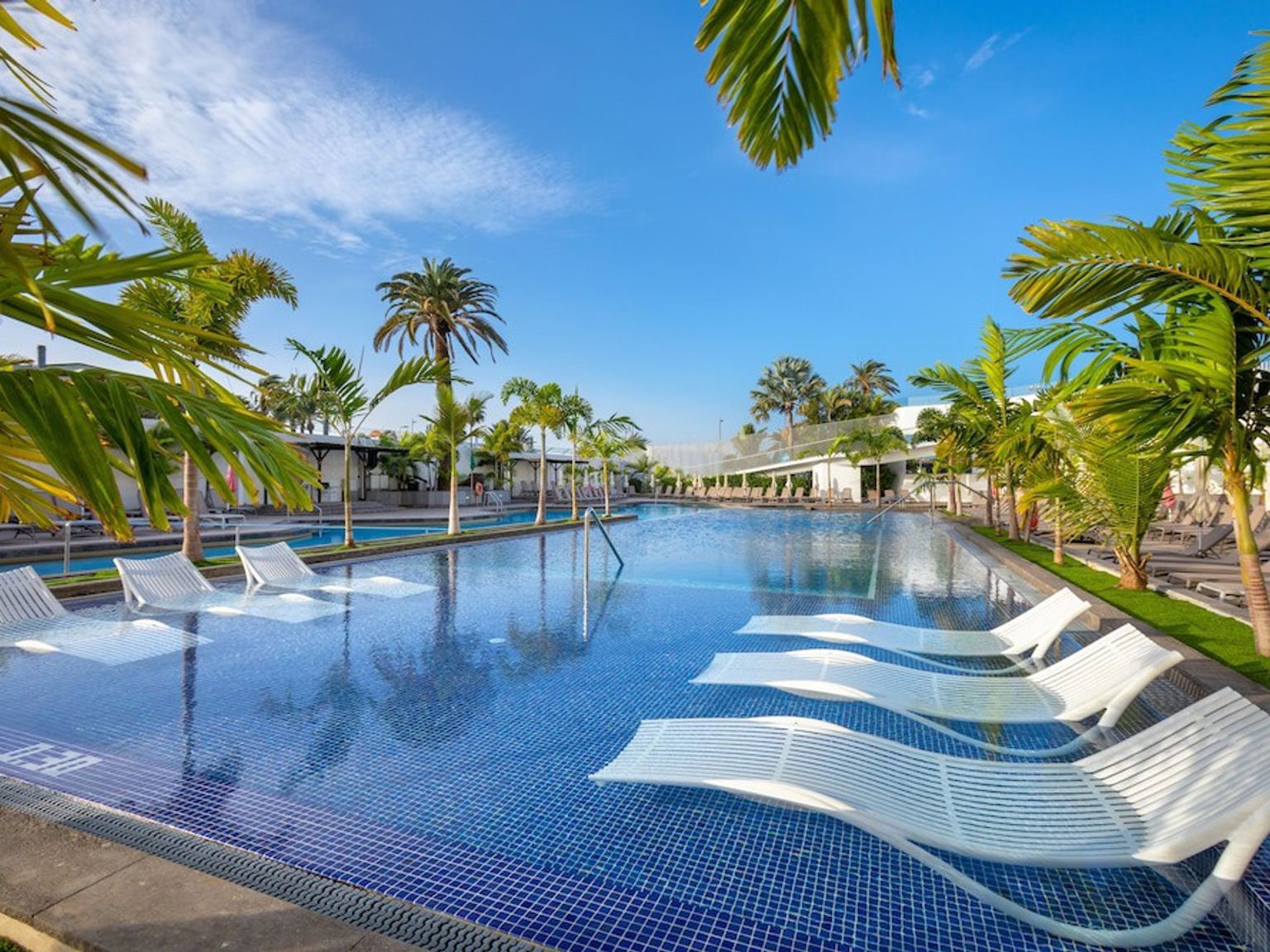 Lang resort svømmebasseng med hvite nedsenkede solsenger og palmer.