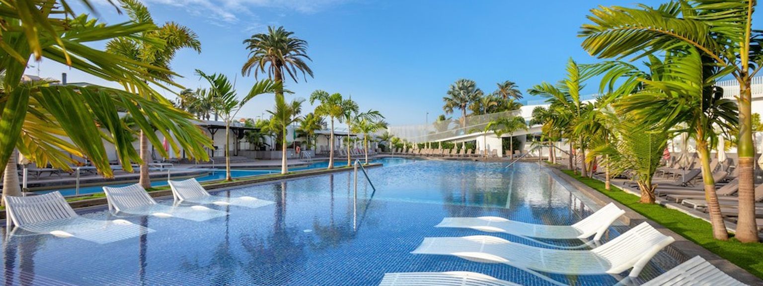 Lang resort svømmebasseng med hvite nedsenkede solsenger og palmer.