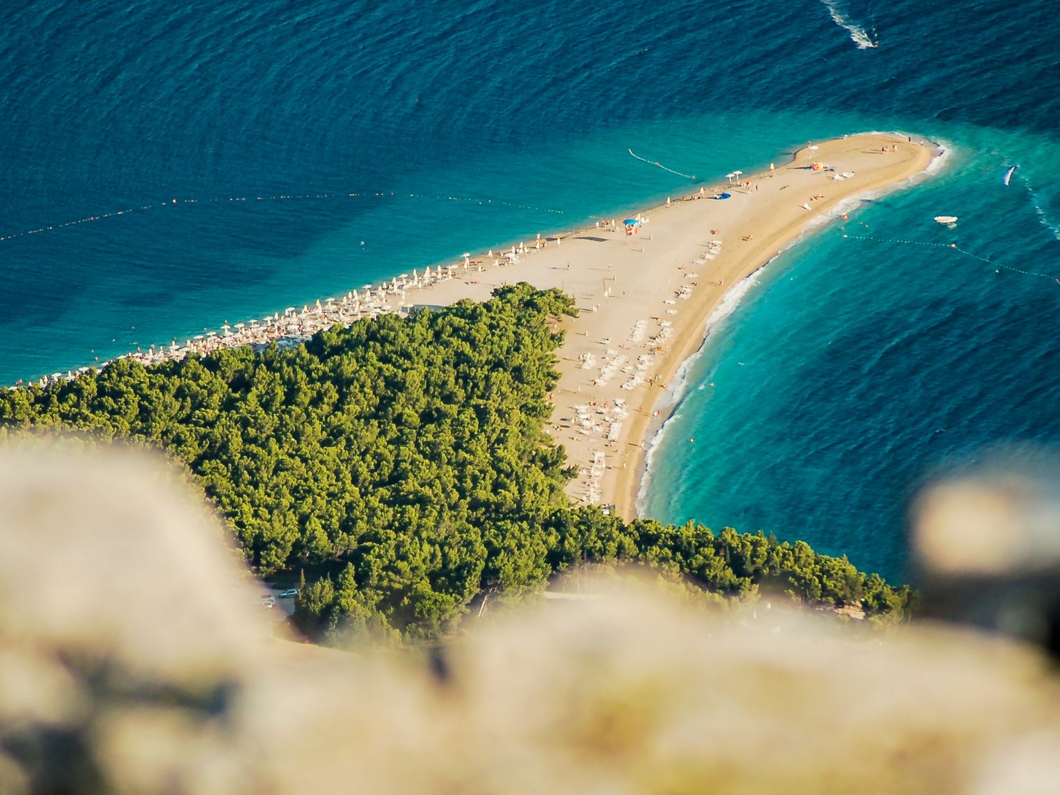en luftvisning af en lille ø i midten af havet omgivet af træer