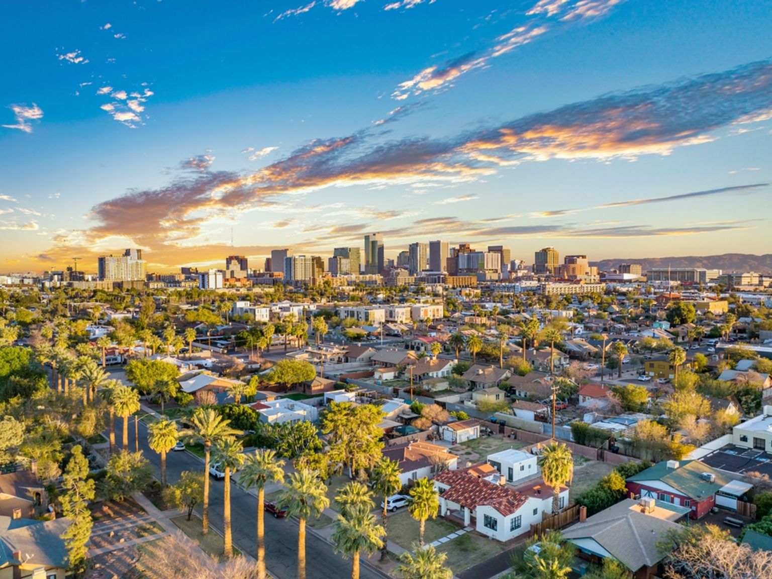 Bylandskap ved solnedgang med palmetrærfylte boliggater i forgrunnen og en fjern skyline. Phoenix, Arizona