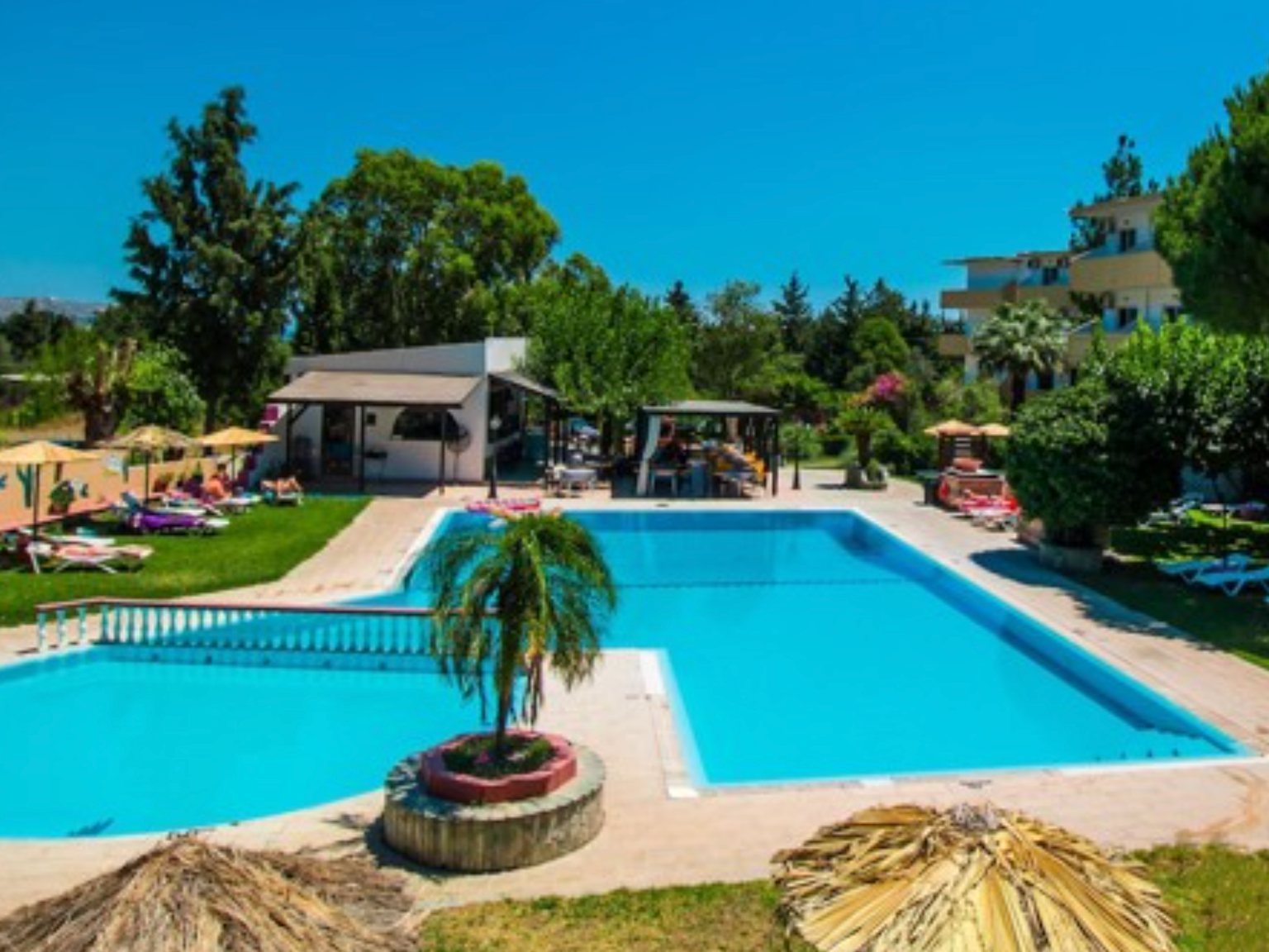 en stor simbassÀng med en palm i mitten