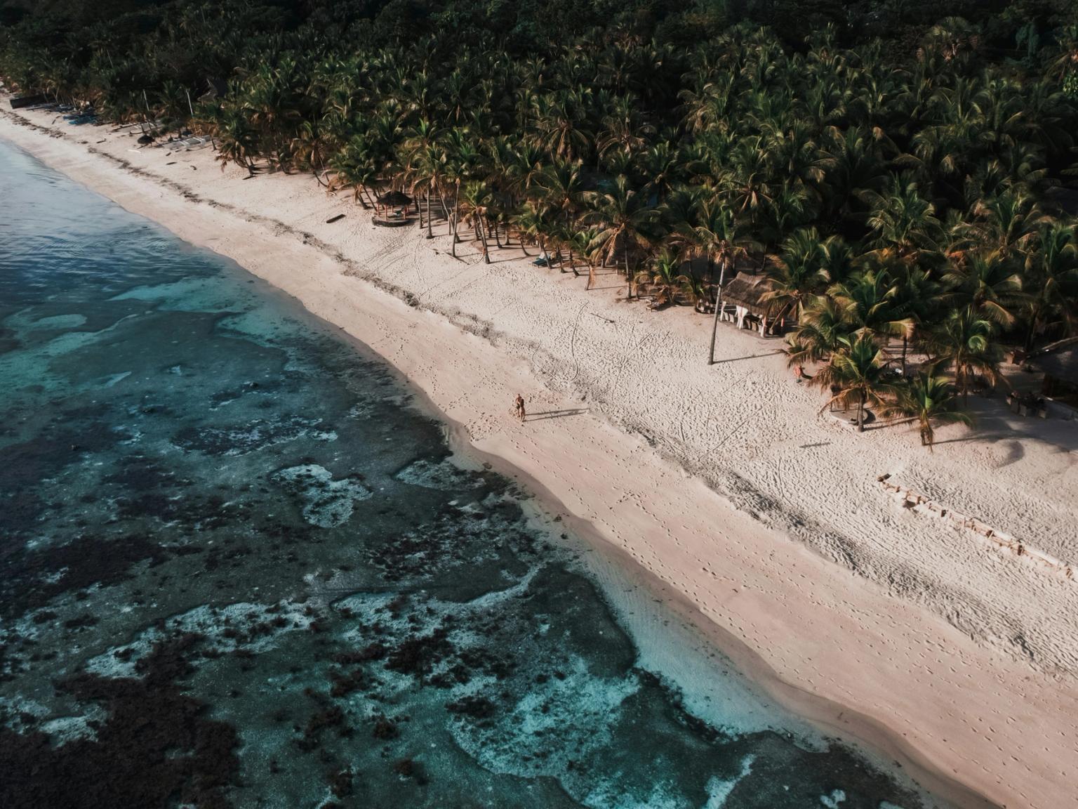 en flygvy över en tropisk strand omgiven av palmträd
