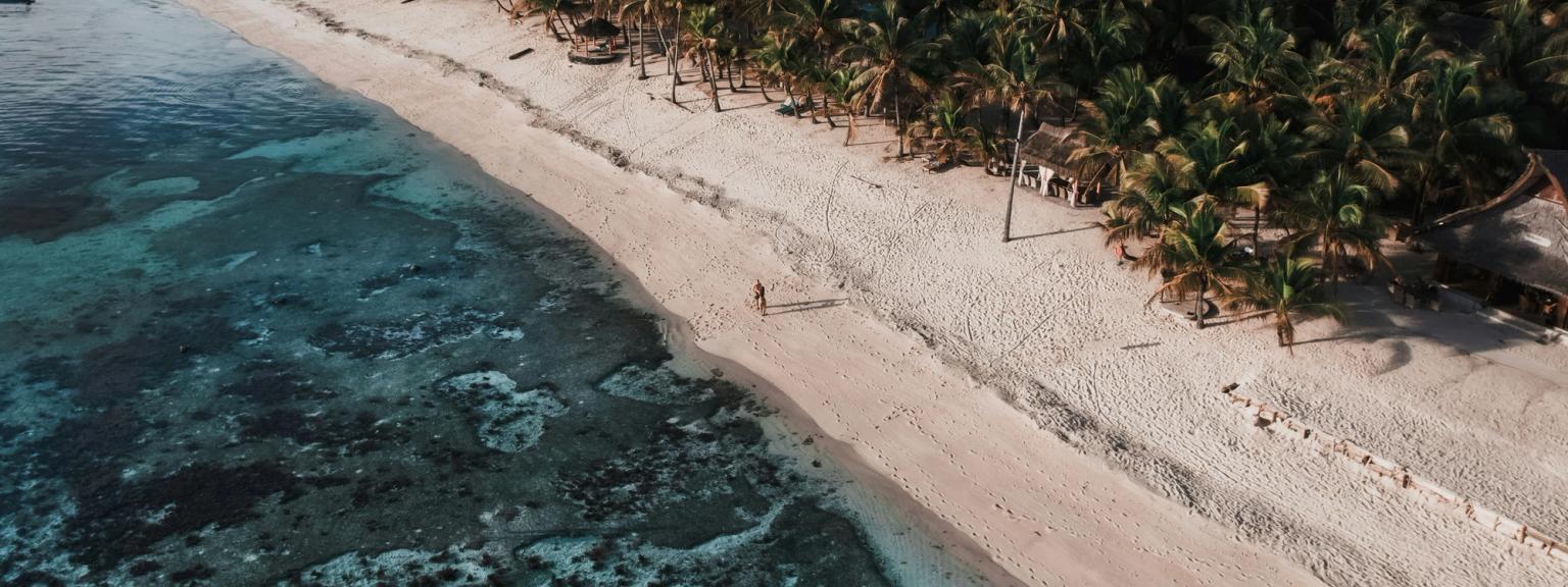 en flygvy över en tropisk strand omgiven av palmträd