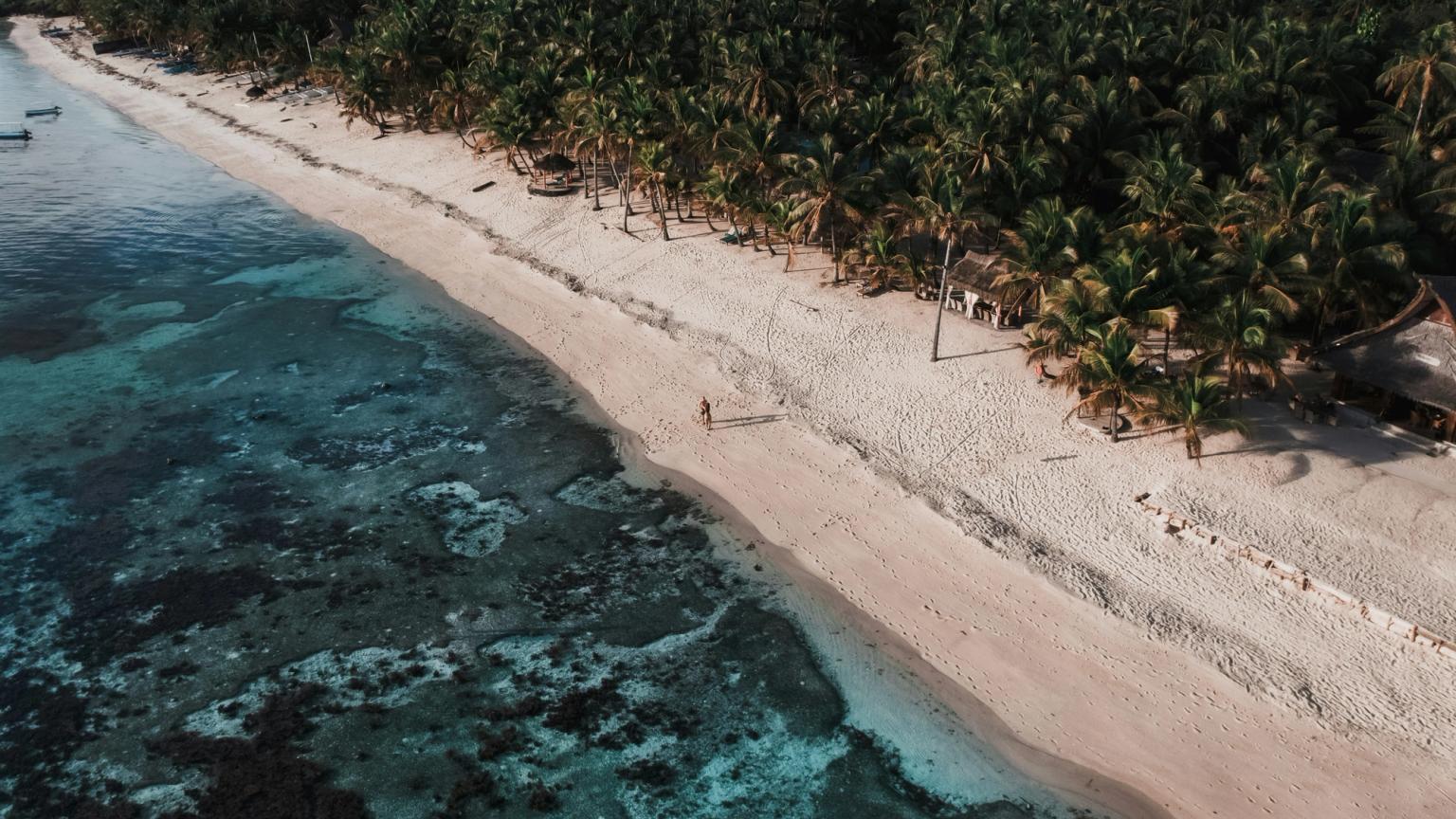 en flygvy över en tropisk strand omgiven av palmträd