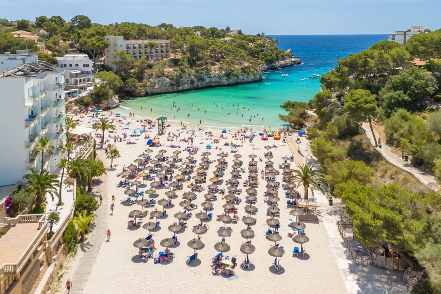 Luftfoto af en fyldt strand med rækker af stråparasoller, mennesker i turkis vand og hoteller langs en naturskøn bugt. Mallorca, Spanien