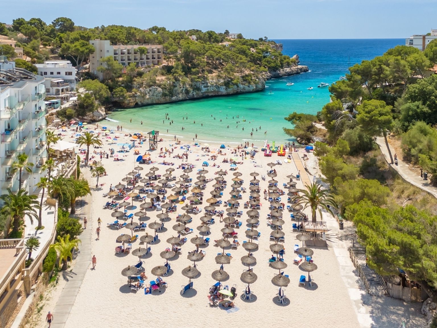 Flygvy över en fullsatt strand med rader av parasoller av halm, människor i turkost vatten och hotell längs en naturskön vik. Mallorca, Spanien
