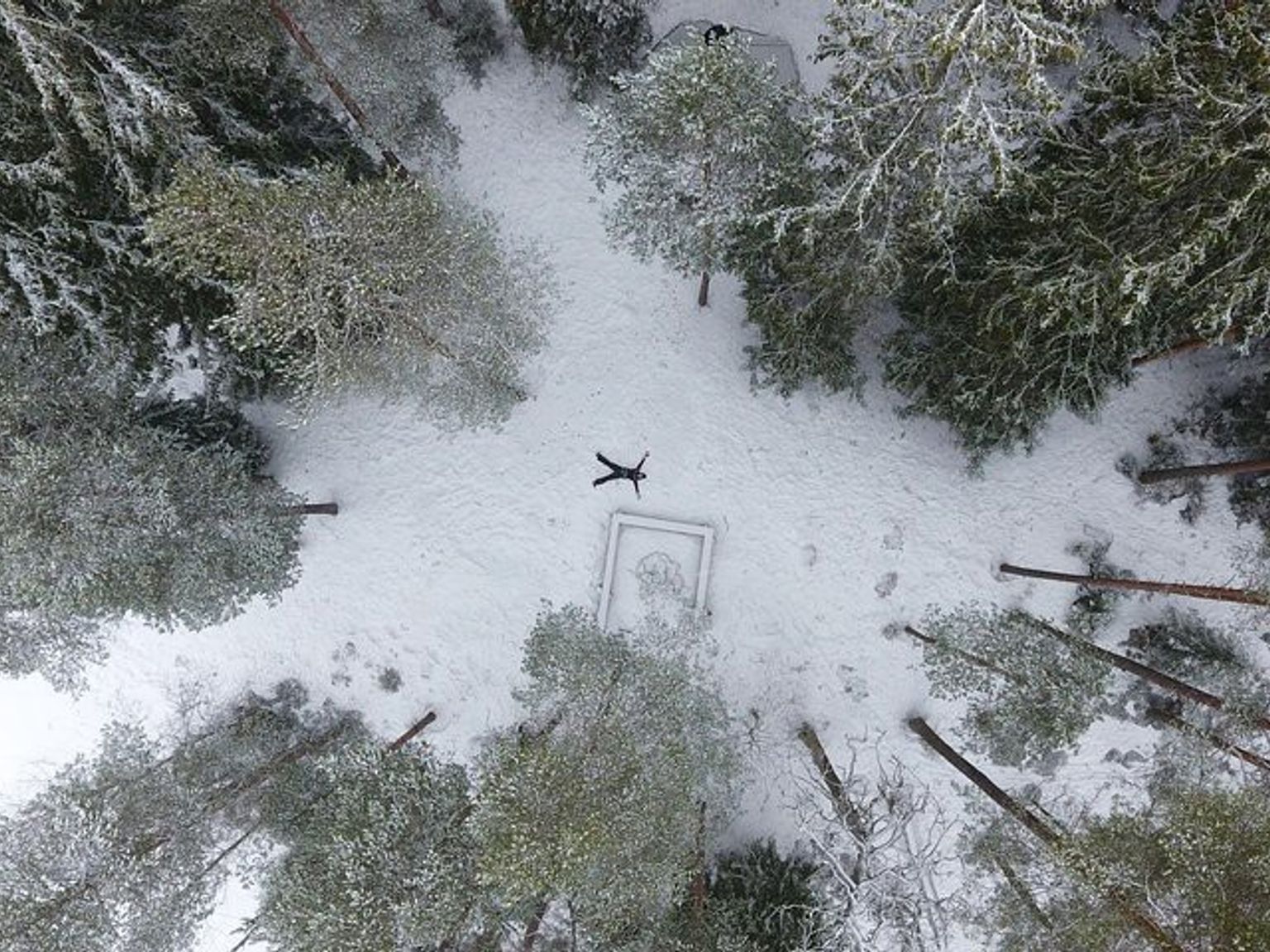 an aerial view of a person making a snow angel in the middle of a snowy forest