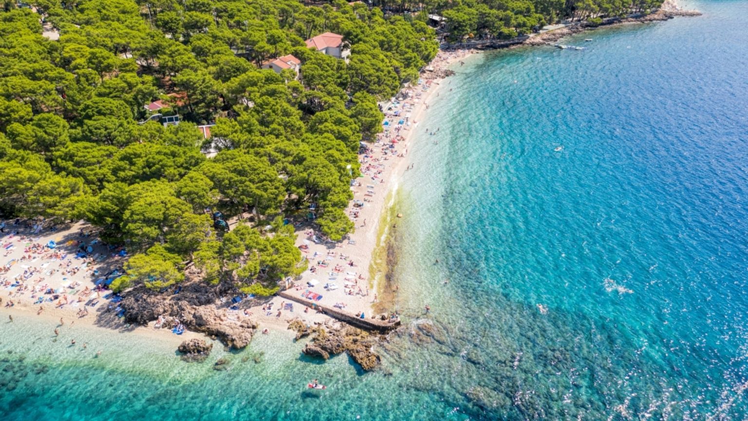 Flygvy över en fullsatt strand med klart turkost vatten bredvid en tät grön skog. Punta Rata, Brela, Kroatien