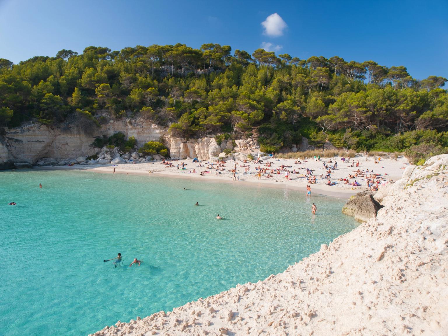 una playa llena de gente y árboles en un día soleado