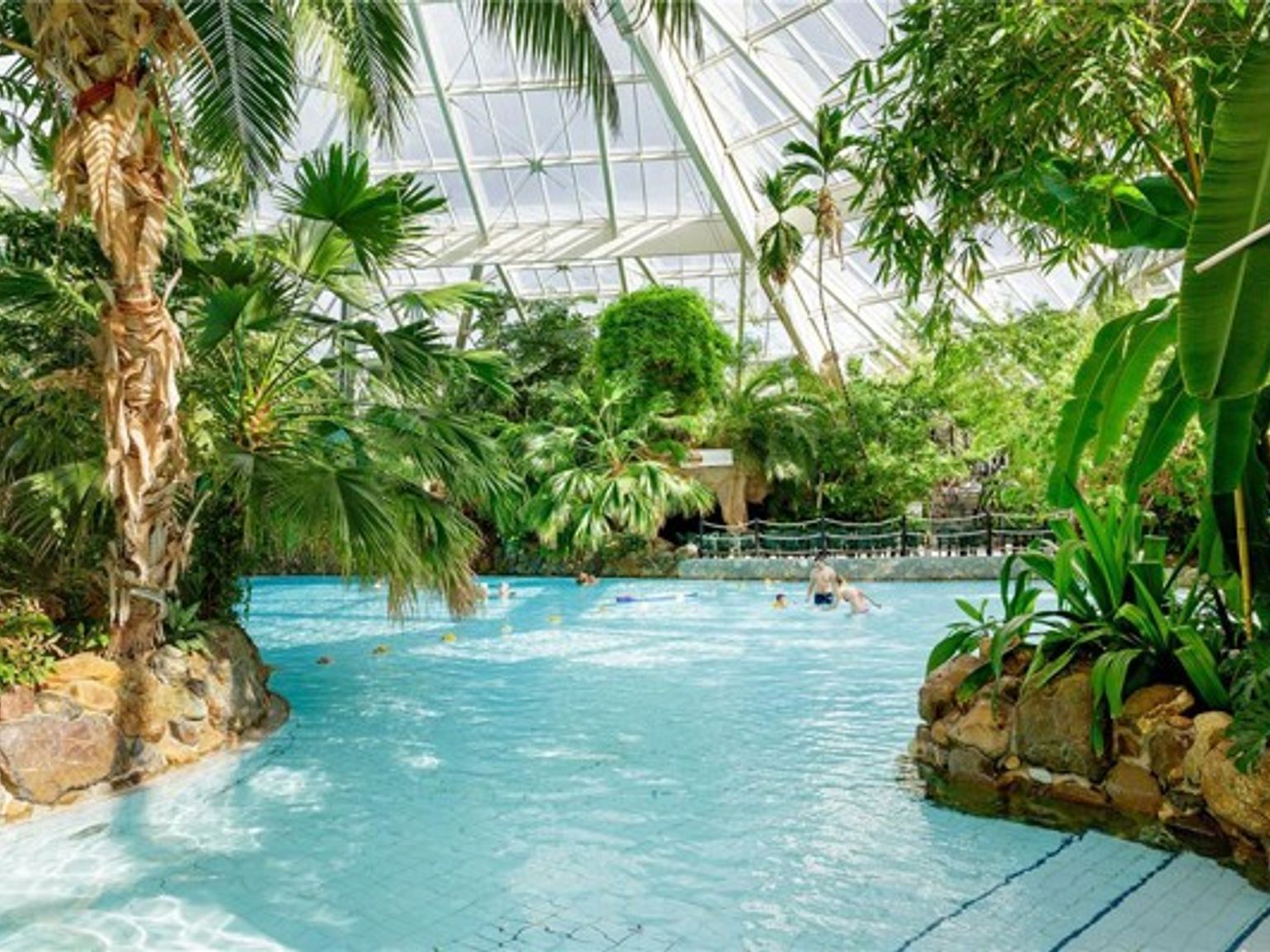et stort innendørs svømmebasseng omgitt av palmer og planter