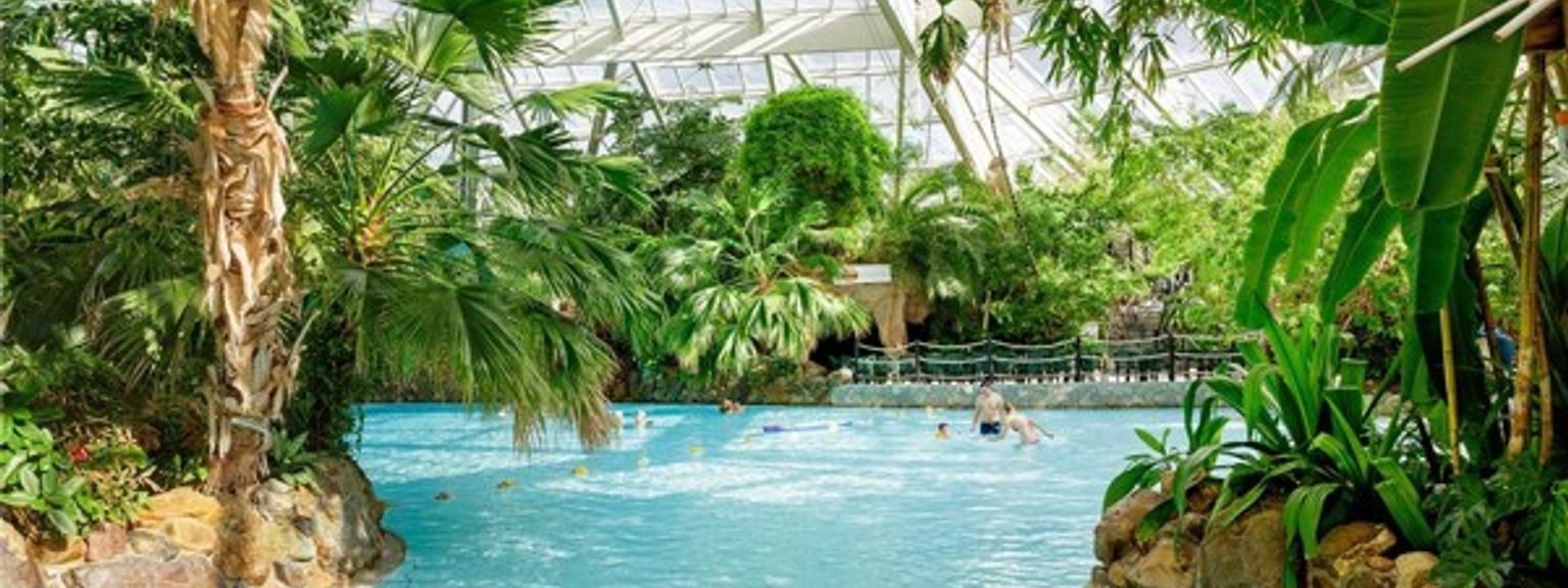 et stort innendørs svømmebasseng omgitt av palmer og planter