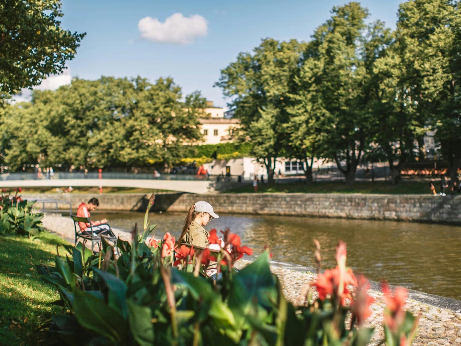 En solrig scene med mennesker, der slapper af ved en flod, med røde blomster i forgrunden, grønne træer langs bredderne og en hvid bro i det fjerne.