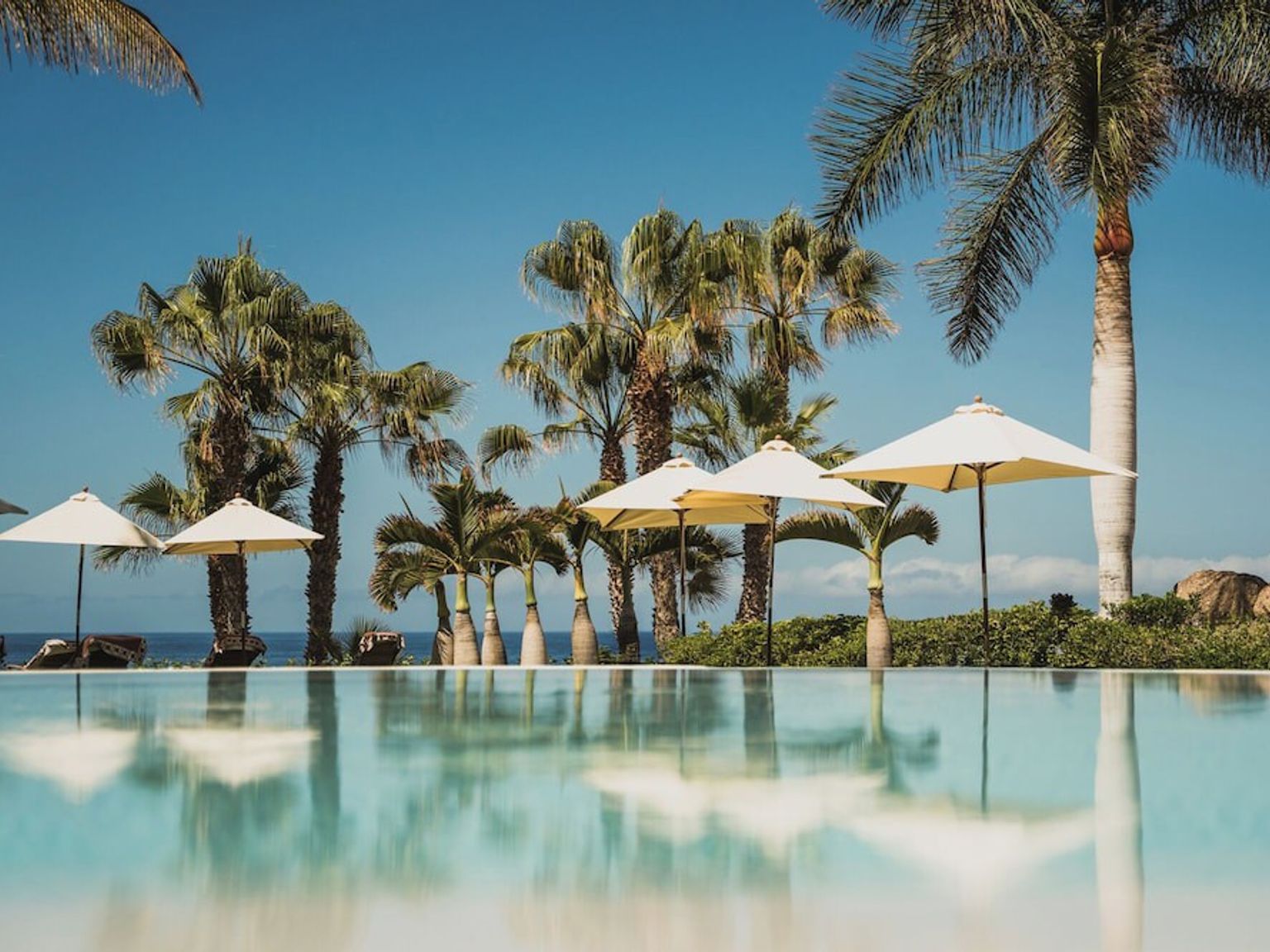 et svømmebasseng omgitt av palmer og parasoller på en solrik dag.