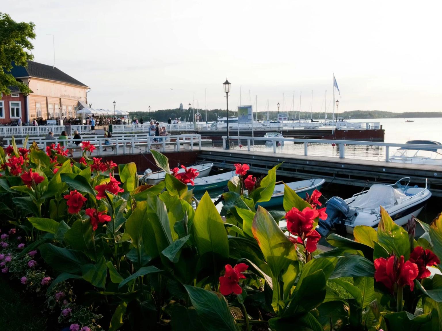 Red flowers in the foreground of a sunny marina with boats and people by a building.
