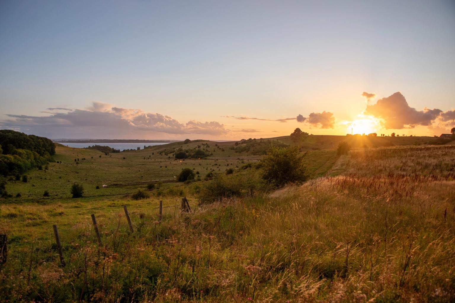 solen går ned over en græsbevokset mark med en sø i baggrunden
