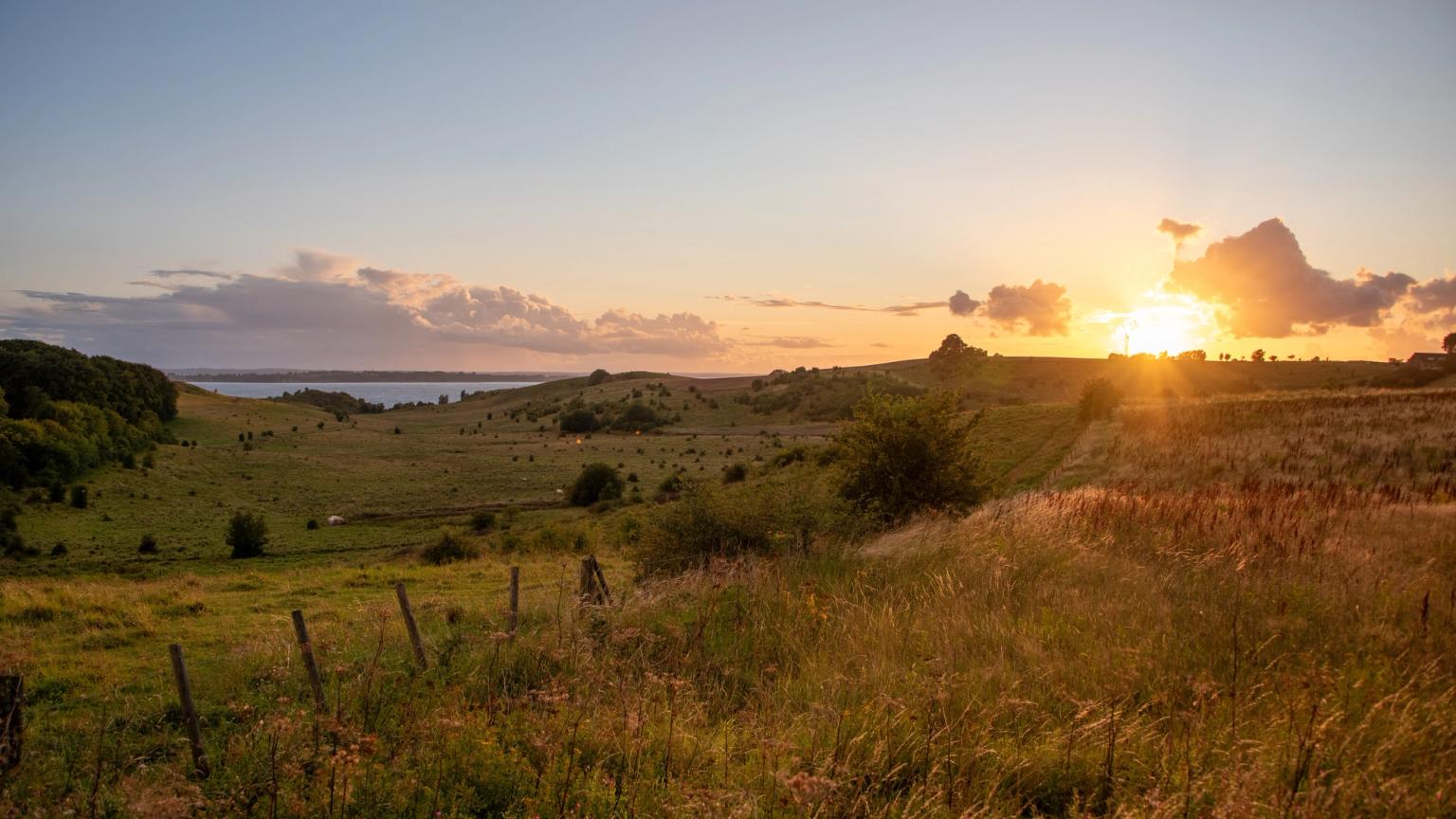 solen går ned over en græsbevokset mark med en sø i baggrunden