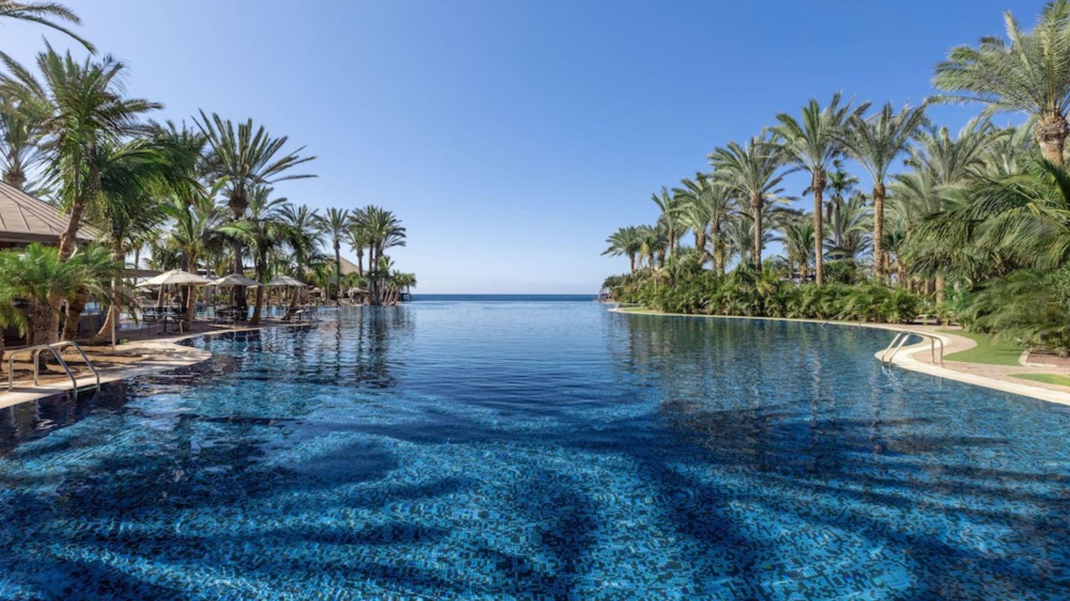 En stor udendørs swimmingpool omgivet af palmer, der strækker sig mod havet under en klar blå himmel.