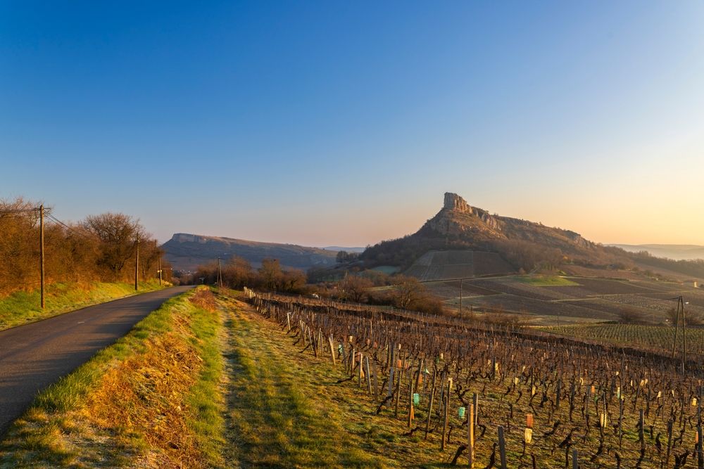 Vineyards and a road lead towards a prominent rock formation under a golden sunrise sky. Burgundy, France