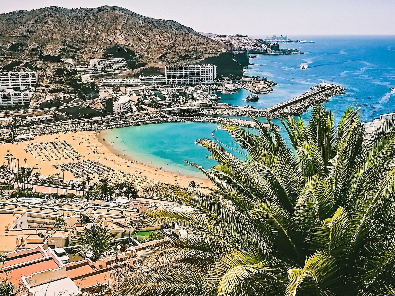en flygvy av en strand med en palm i förgrunden pÄ Gran Canaria.