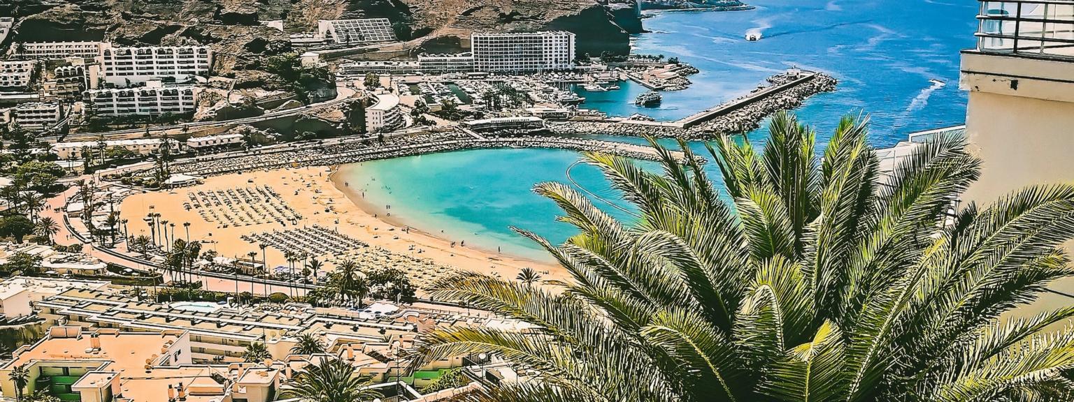 en flygvy av en strand med en palm i förgrunden pÄ Gran Canaria.