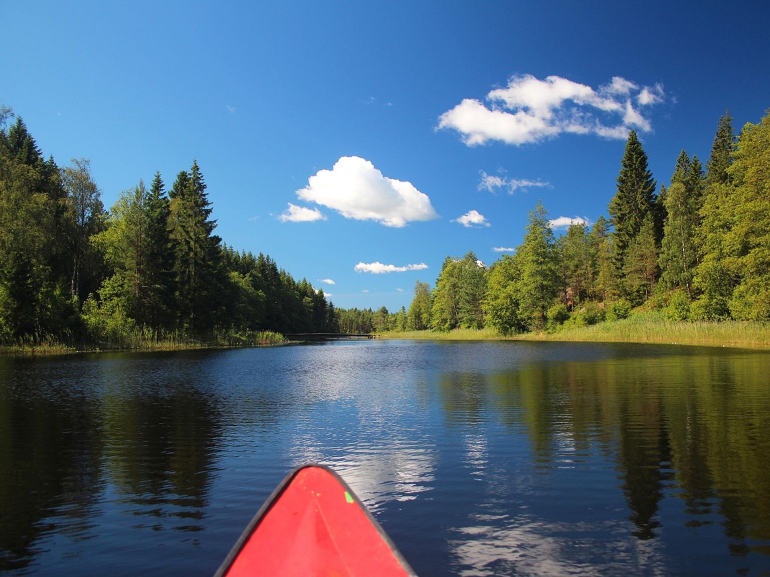 Ein rotes Kanu schwimmt auf einem See umgeben von Bäumen